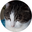 Bruno profile picture
